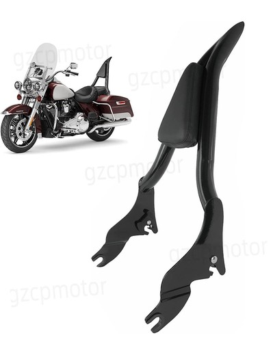 Sissy bar schienale - sissy,