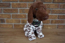 Scheels puntatore tedesco