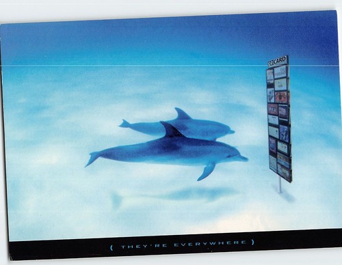Cartolina sono ovunque gocard - cartolina,