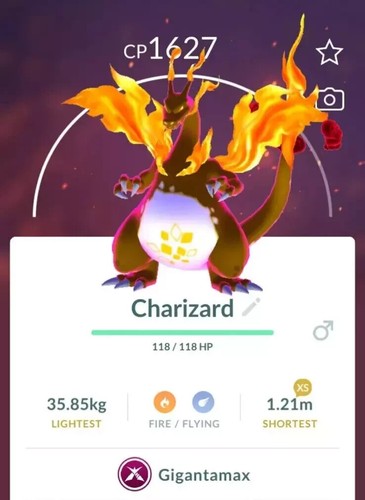 Gigantamax charizard non - gigantamax,
