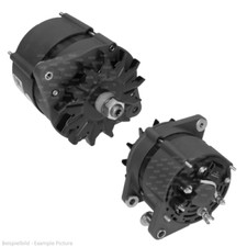 Alternatore per Nanni NK