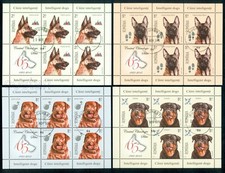 2015 cani, pastore tedesco