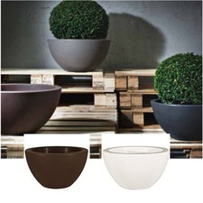 Ciotola Vaso caspo' in super