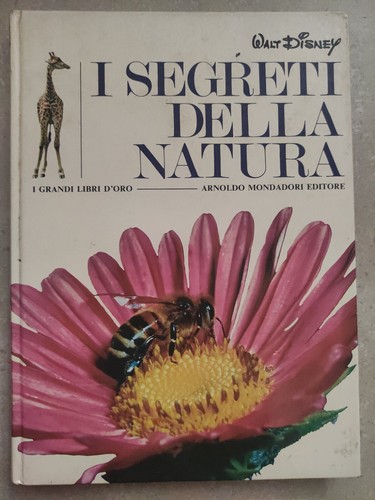Walt disney segreti - -,