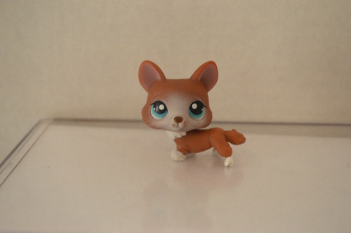 Littlest pet - littlest,