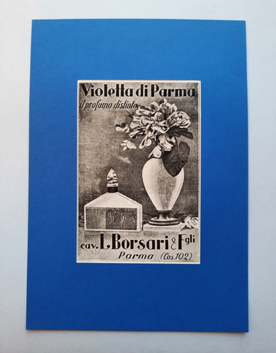 Pubblicita profumi violetta - pubblicita',