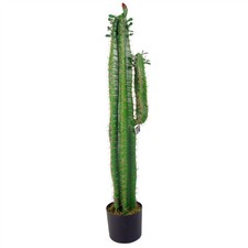 Pianta di cactus artificiale