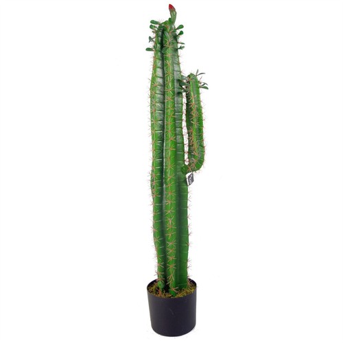 Pianta cactus artificiale - pianta,