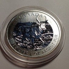 ONCIA CANADA AG 999 G 31.1 5
