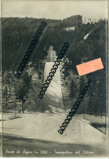 ponte di legno