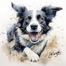Watercolor Border Collie
