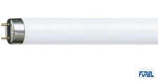 OSRAM NEON BULB T8 L 23W640