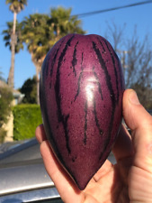 Sale1466 Semi di Pepino Kendal