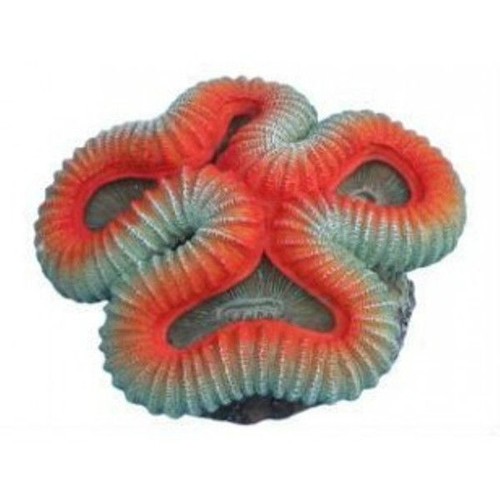 Welsophyllia decorazione - welsophyllia, in