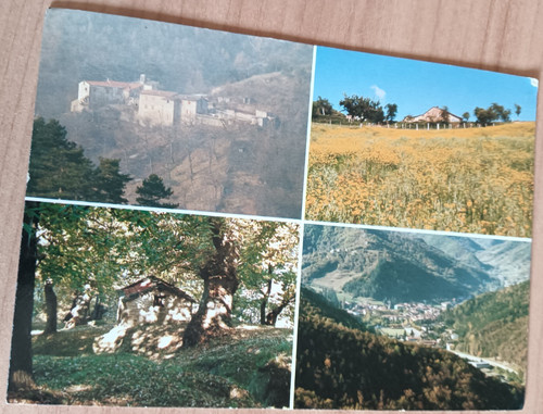 Cartolina italia firenze - italia,