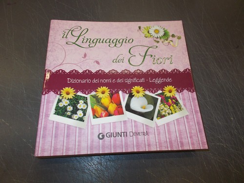 Linguaggio dei - linguaggio,