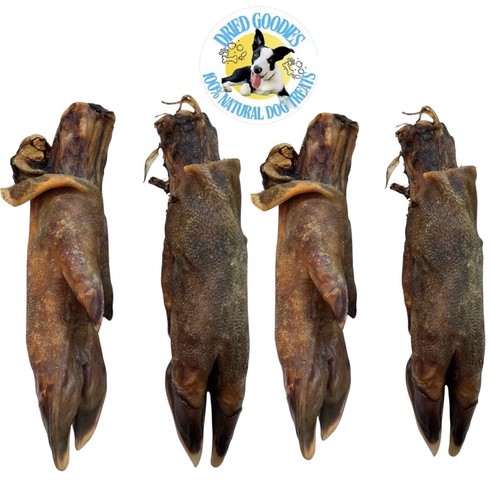 Piedi cinghiale trotter - x,