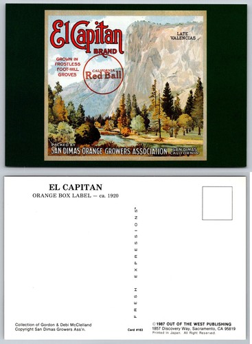 Cartolina artistica capitan - cartolina,