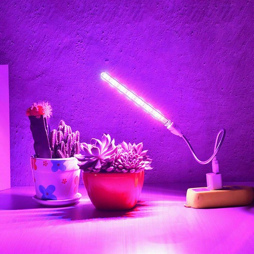 Luce led coltivazione spettro - luce,