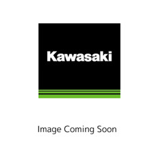 Kawasaki OEM 21163-0742