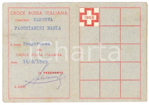 1929 croce rossa - croce,