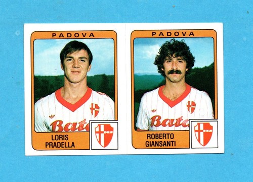 Panini calciatori - panini,