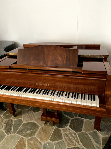 Brauner blüthner pianoforte - blüthner, a