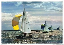 ARTP6-0362-BARCA - Barche Da Diporto - Vele - 420 In Regata