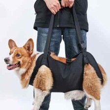 Comoda imbracatura per cani