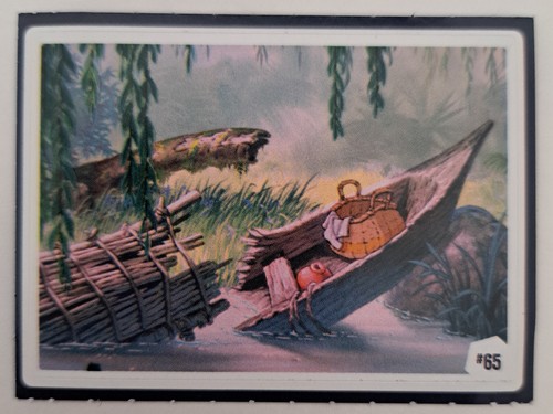 Vignette auchan disney - disney, 100