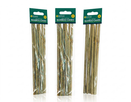 Bastone supporto cura - , piante