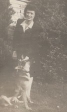 Ritratto cane animale