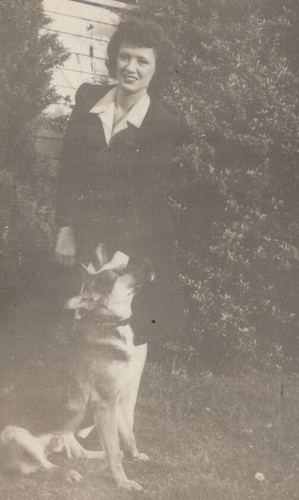 Ritratto cane animale