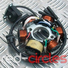 PIT DIRT BIKE QUAD 6 POLI