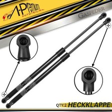 2 molle a gas ammortizzatori