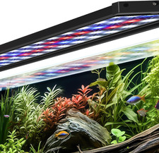 Illuminazione per Acquario