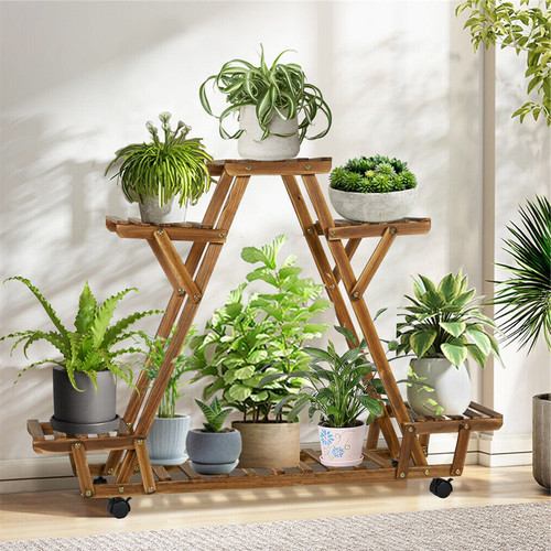 Scaffale fiori scala - , piante