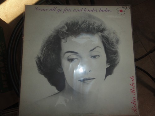 Vinyl record robin - i,