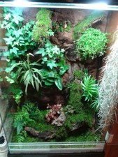 Sfondo 3D fai da te per