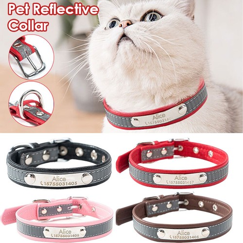 Collare cane pelle - cane,