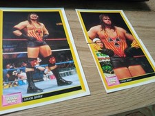 Figurina Stickers Wrestling