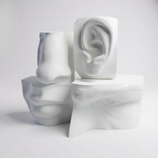 4PK - Anatomia Testa Umana