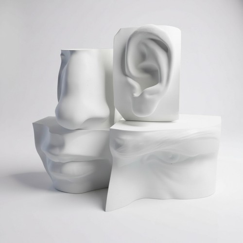 4pk anatomia testa umana - 4pk,