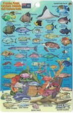 Franko Cayman Islands Reef Creatures Guide Waterproof Fish ID Card 4" x 6"