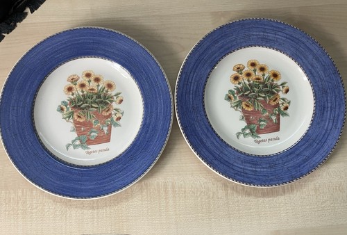Piatti insalata wedgwood - 2,