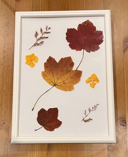 Quadro con foglie - foglie, arte
