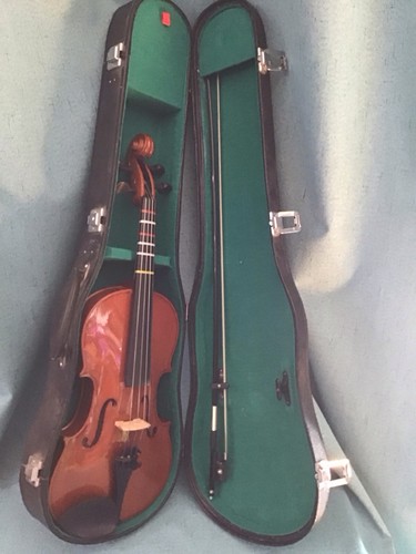 Violino bestler con - violino,