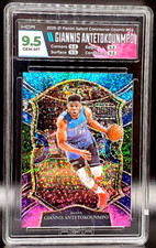 Custodia giannis antetokounmpo - custodia,