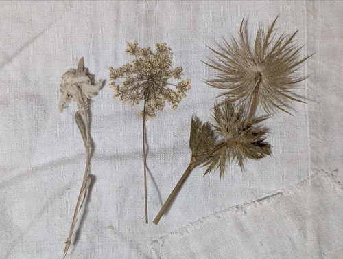 Souvenir lotto fiori essicati