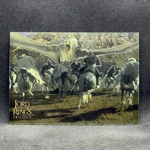 Volo delle bestie fellbeasts - delle,